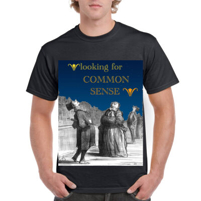 COMMON SENSE satire definition Thumbnail